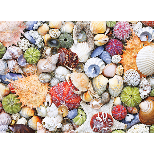 Puzzle: Seashore