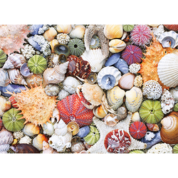 Puzzle: Seashore