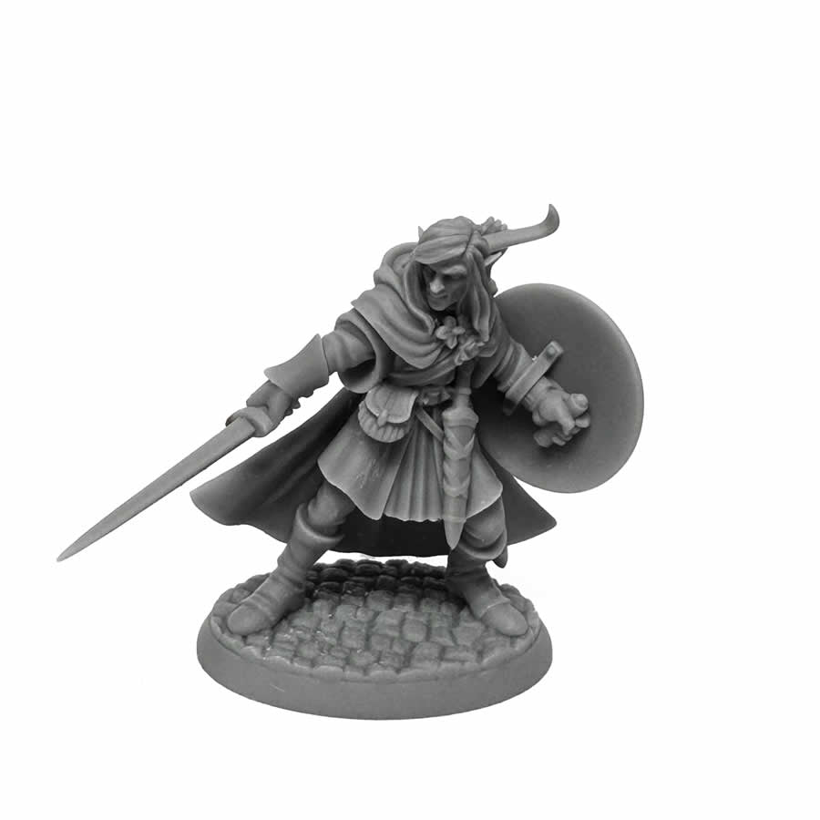 RPR07026B Mellonir Windrunner Elf Warrior Miniature 25mm Heroic Scale Figure Dungeon Dwellers (ONLINE ORDER ONLY)