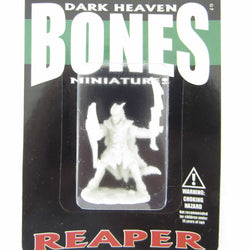 RPR77120 Vaeloth Helborn Paladin Miniature 25mm Heroic Scale (ONLINE ORDER ONLY)