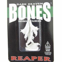 RPR77636 Death Shroud 25mm Heroic Scale Fantasy Miniatures (ONLINE ORDER ONLY)