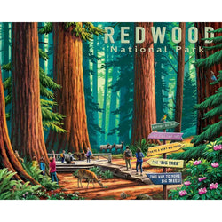 Redwood National Park 500 Piece Jigsaw Puzzle Boardwalk (ONLINE ORDER ONLY)