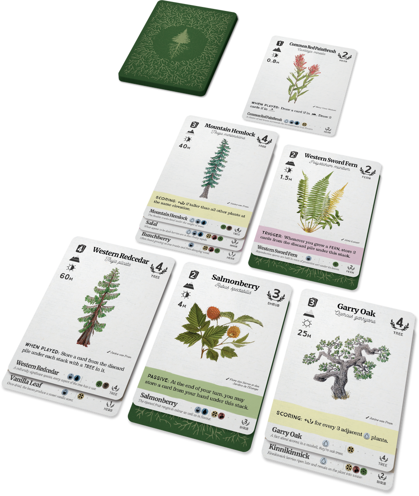 Reforest: Old Growth