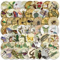 Vintage Insect Graffiti Stickers - Retro Animal Plant Decals for Laptop, Motorcycle, Phone - Waterproof 10/30/58pcs (Online Order Only)