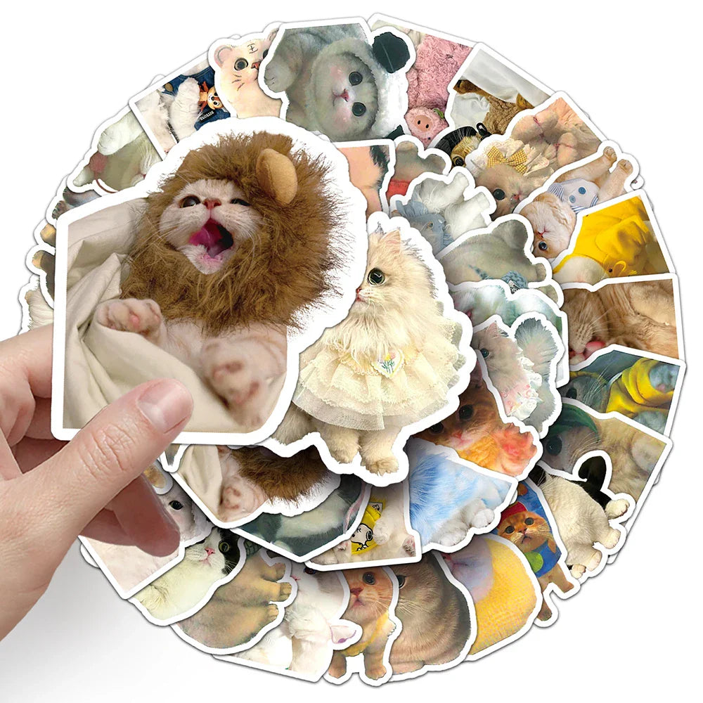 10/30/50/100PCS Kawaii Cats Stickers Cute Kitten Decals Toys DIY Phone Laptop Scrapbook Stationery Fridge Car Funny Meme Sticker (Online Order Only)