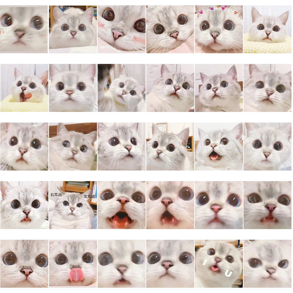 10/30/56PCS Cute Meme Cat Stickers Kawaii Animal Decals Funny Cartoon Kids Toy DIY Notebook Fridge Guitar Bike Car Suitcase Toys (ONLINE ORDER ONLY)