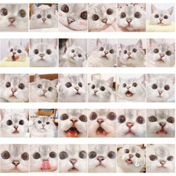 10/30/56PCS Cute Meme Cat Stickers Kawaii Animal Decals Funny Cartoon Kids Toy DIY Notebook Fridge Guitar Bike Car Suitcase Toys (ONLINE ORDER ONLY)