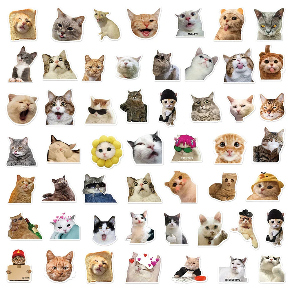 10/30/50pcs Cute Funny Meme Animal Cat Kitty Stickers Decals Kids Toy Laptop Suitcase Notebook Motorcycle Car Decoration Sticker (Online Order Only)