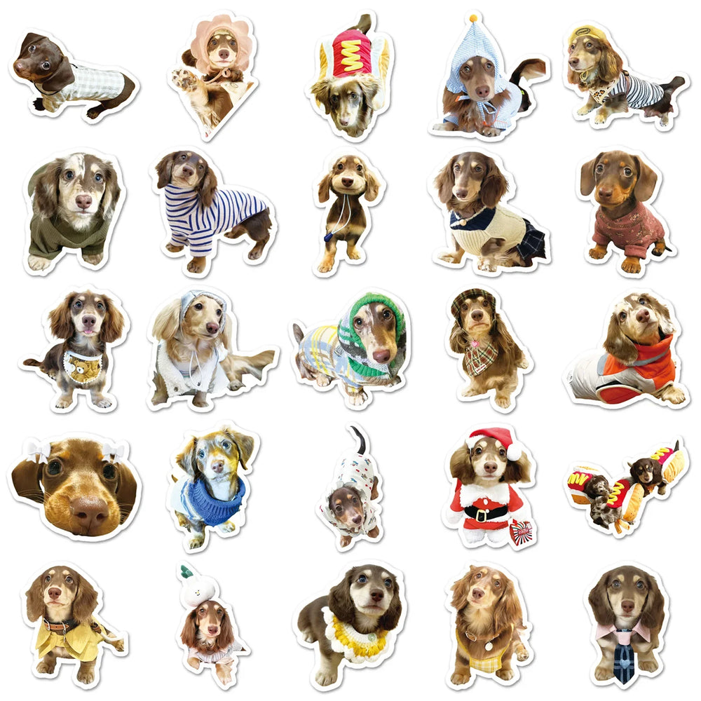 10/30/50PCS Dachshund Dog Stickers Cute Dog Decoration DIY Animal Sticker Luggage Laptop Phone Guitar Car Bike Decals Kids Toys (ONLINE ORDER ONLY)