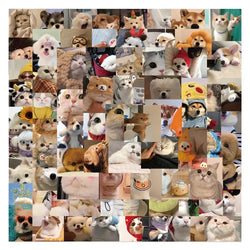10/30/50/100PCS Happy Dog Cat PVC Sticker Aesthetic Children's Korean Stationery School Supplies DIY Decoration Scrapbooking (Online Order Only)