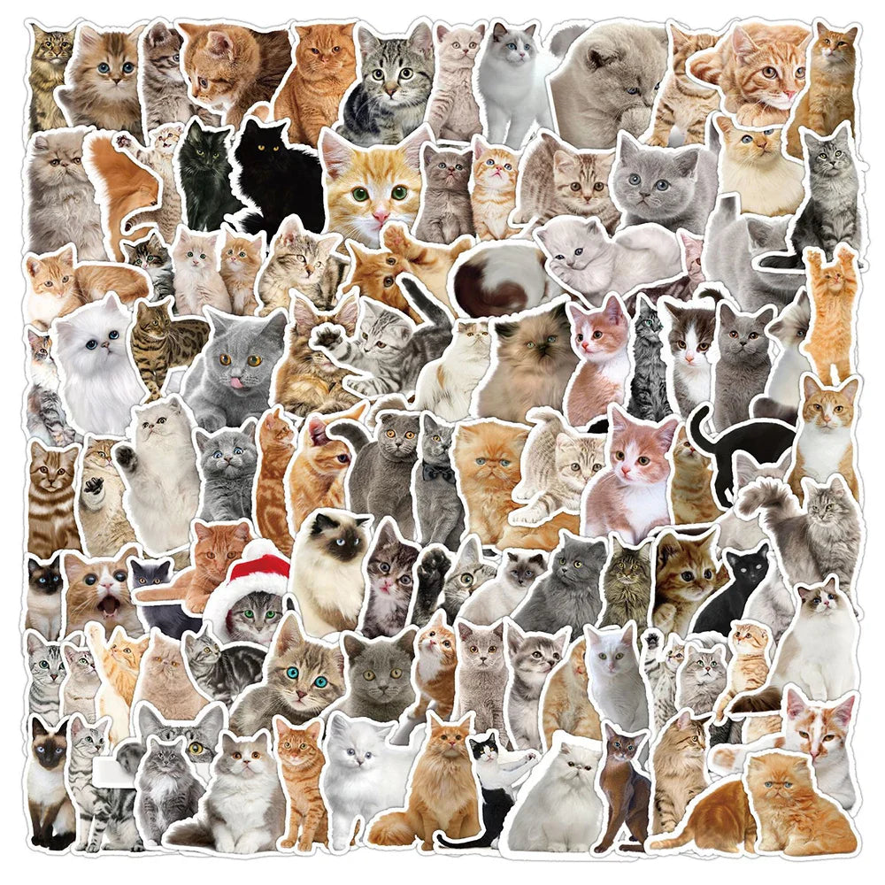 Cute Cat Meme Stickers Decals for Laptop, Phone, Car, Diary, Kids Toy - 10/30/50/100PCS (Online Order Only)
