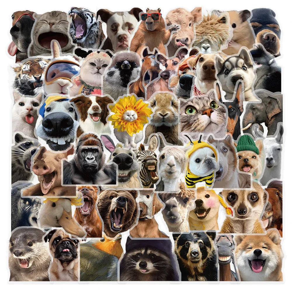 Cute Animal Meme Stickers - 10/30/50pcs for Laptop, Phone, Notebook (Online Order Only)