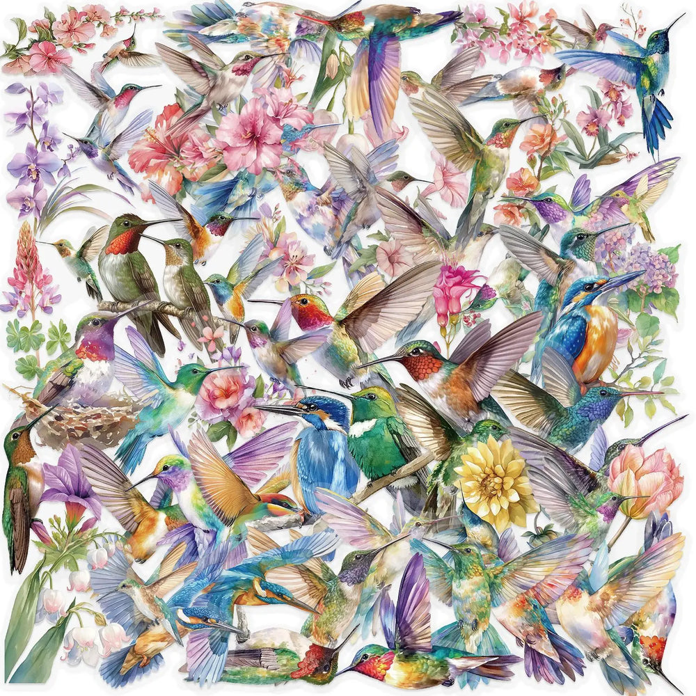 Cartoon Hummingbird Stickers - 10/30/50PCS for Laptop, Phone, Cup, Skateboard, PET Material (ONLINE ORDER ONLY)