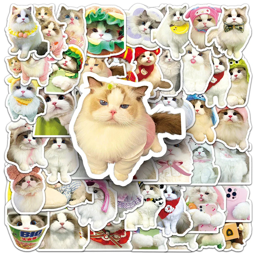 Cartoon Cat Stickers Pack - Laptop, Suitcase, Stationery Decor (Online Order Only)