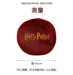 Harry Potter Plush Pillow (ONLINE ORDER ONLY)