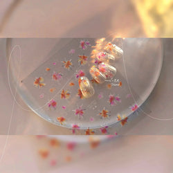 Fireworks Bloom Romantic Starry Sky Goldfish Metallics Color Gradient Self Adhesive Nail Art Stickers Halo Dyeing Manicure Decal (ONLINE ORDER ONLY)