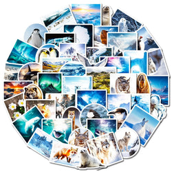 10/50pcs South and North Poles Scenery Stickers Aesthetic Decals DIY Scrapbooking Phone Luggage Car Graffiti Decoration Sticker (Online Order Only)