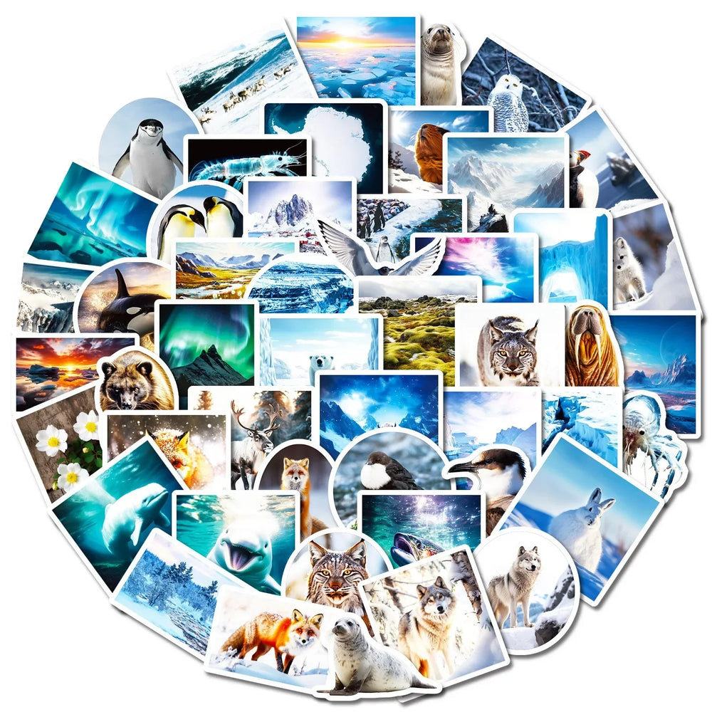 10/50pcs South and North Poles Scenery Stickers Aesthetic Decals DIY Scrapbooking Phone Luggage Car Graffiti Decoration Sticker (Online Order Only)