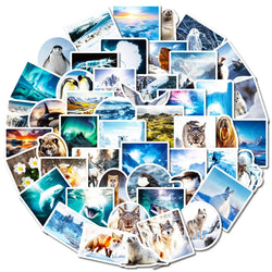 10/50pcs South and North Poles Scenery Stickers Aesthetic Decals DIY Scrapbooking Phone Luggage Car Graffiti Decoration Sticker (Online Order Only)