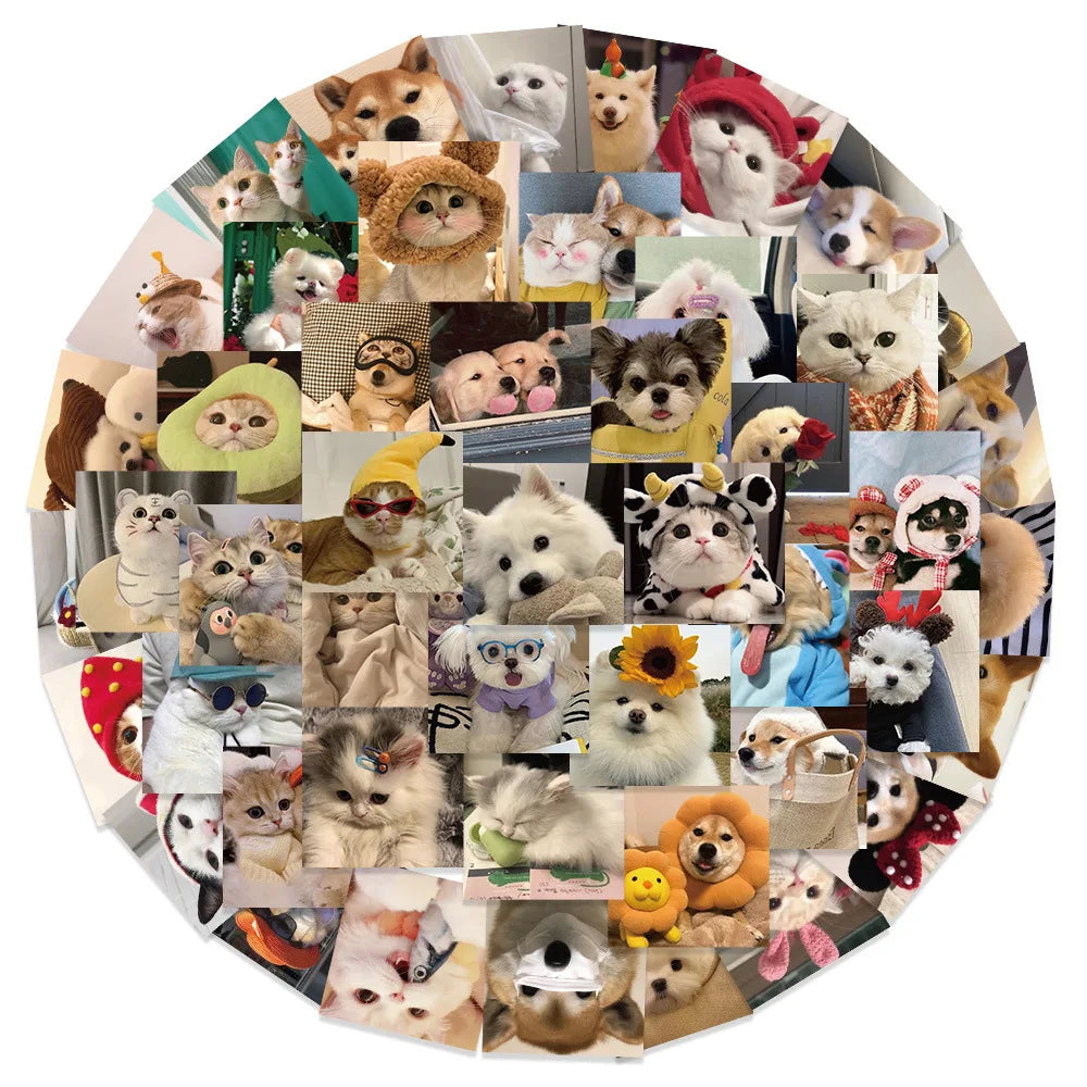 10/30/53PCS Cute Cats Dog Funny Stickers Cartoon Animals Graffiti Toys DIY Notebook Luggage Skateboard Guitar Kids Sticker Decal (ONLINE ORDER ONLY)