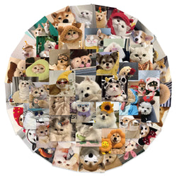 10/30/53PCS Cute Cats Dog Funny Stickers Cartoon Animals Graffiti Toys DIY Notebook Luggage Skateboard Guitar Kids Sticker Decal (ONLINE ORDER ONLY)