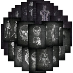 25pcs Anatomical Skeleton Chalkboard Stickers For Laptop PVC Water Bottle waterproof Decal Toy Medicine Student Gifts (Online Order Only)