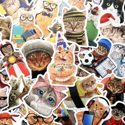 10/50Pcs Funny Cat Meme Stickers Cute Cartoon Decals for Kids Laptop Luggage Motorcycle (Online Order Only)