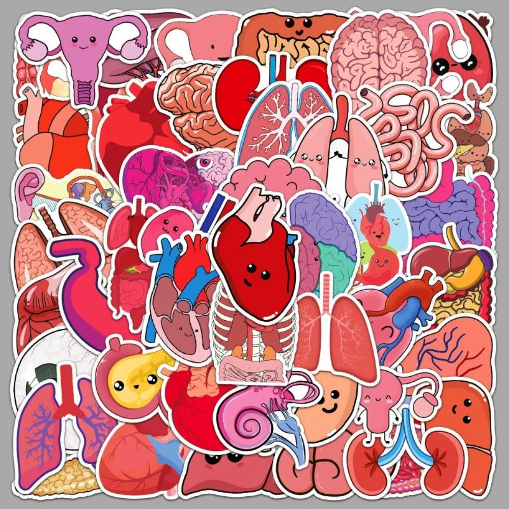 10/50Pcs Cartoon Human Organs Graffiti Stickers Decoration Phone Case Suitcase Luggage Case Sticker Waterproof for Kids Toys (ONLINE ORDER ONLY)