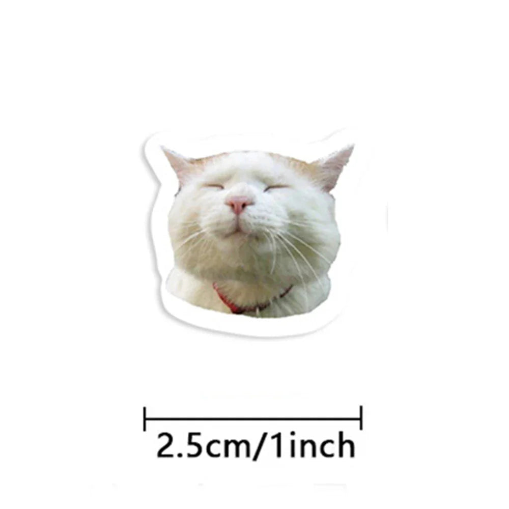 100-500pcs Funny Cats Cartoon Animals Stickers DIY Phone Guitar Laptop Notebook Suitcase Waterproof Sticker Kids Toy (ONLINE ORDER ONLY)