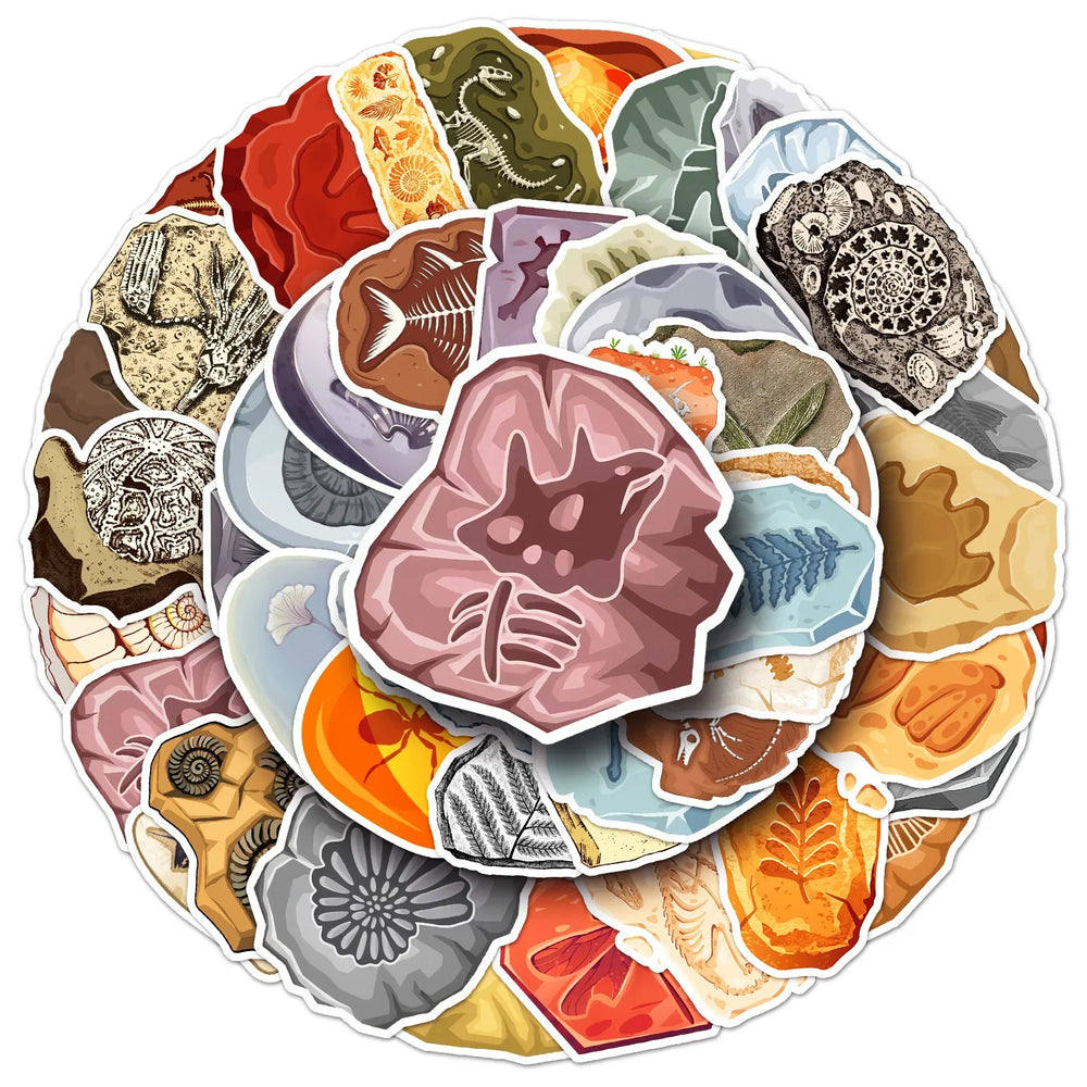 Ammonite Fossil Stickers Waterproof Decals for Scrapbook, Luggage, Laptop, Guitar, Bike, Kids Toys (10/30/50PCS) (Online Order Only)