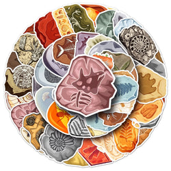Ammonite Fossil Stickers Waterproof Decals for Scrapbook, Luggage, Laptop, Guitar, Bike, Kids Toys (10/30/50PCS) (Online Order Only)