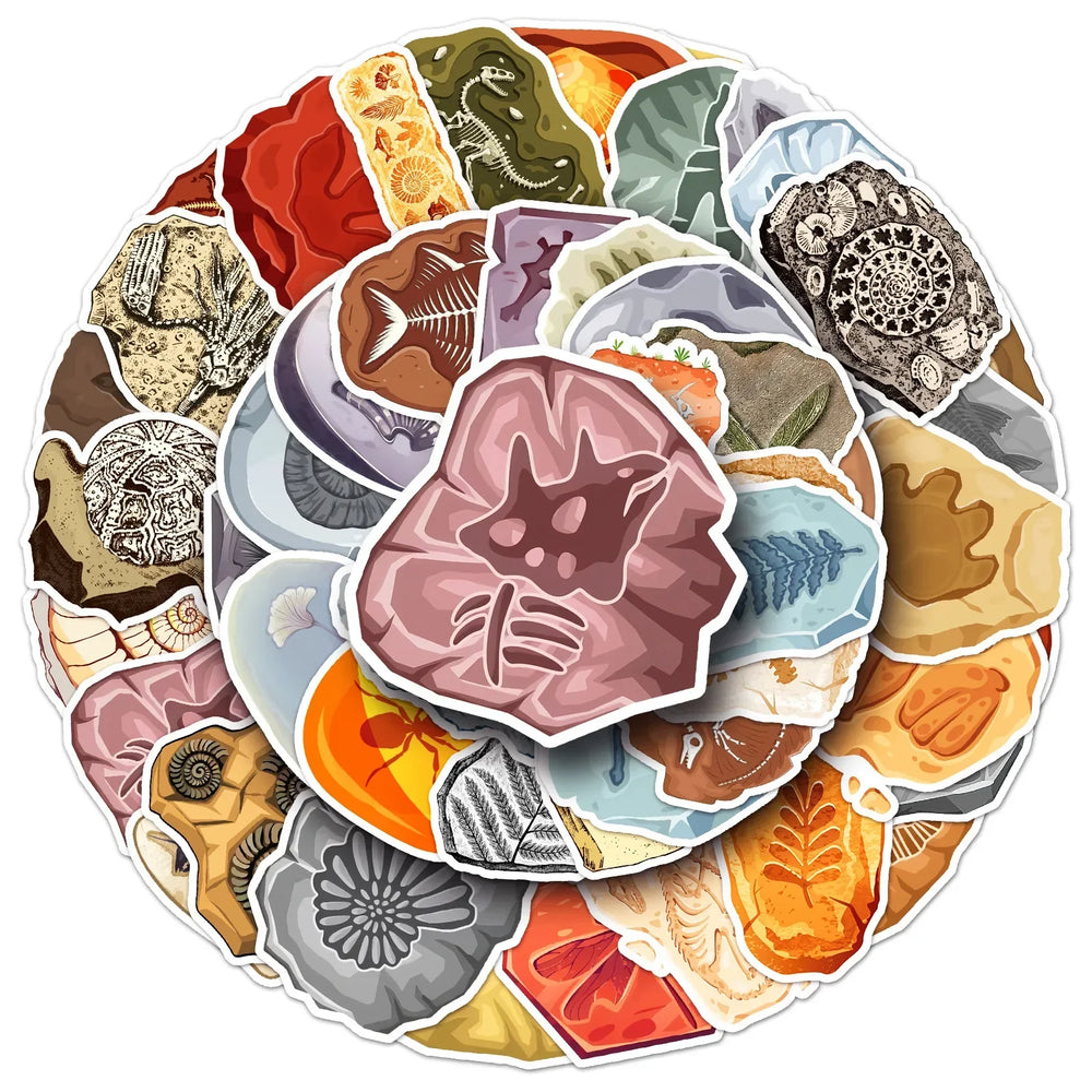 Ammonite Fossil Stickers Waterproof Decals for Scrapbook, Luggage, Laptop, Guitar, Bike, Kids Toys (10/30/50PCS) (Online Order Only)