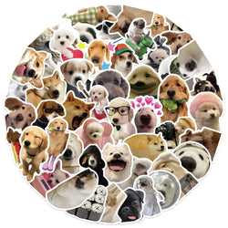 10/30/50PCS Kawaii Dog Stickers Meme Graffiti Animal Sticker Luggage Laptop Phone Guitar Car Bike Skateboard Decals Kids Toys (ONLINE ORDER ONLY)
