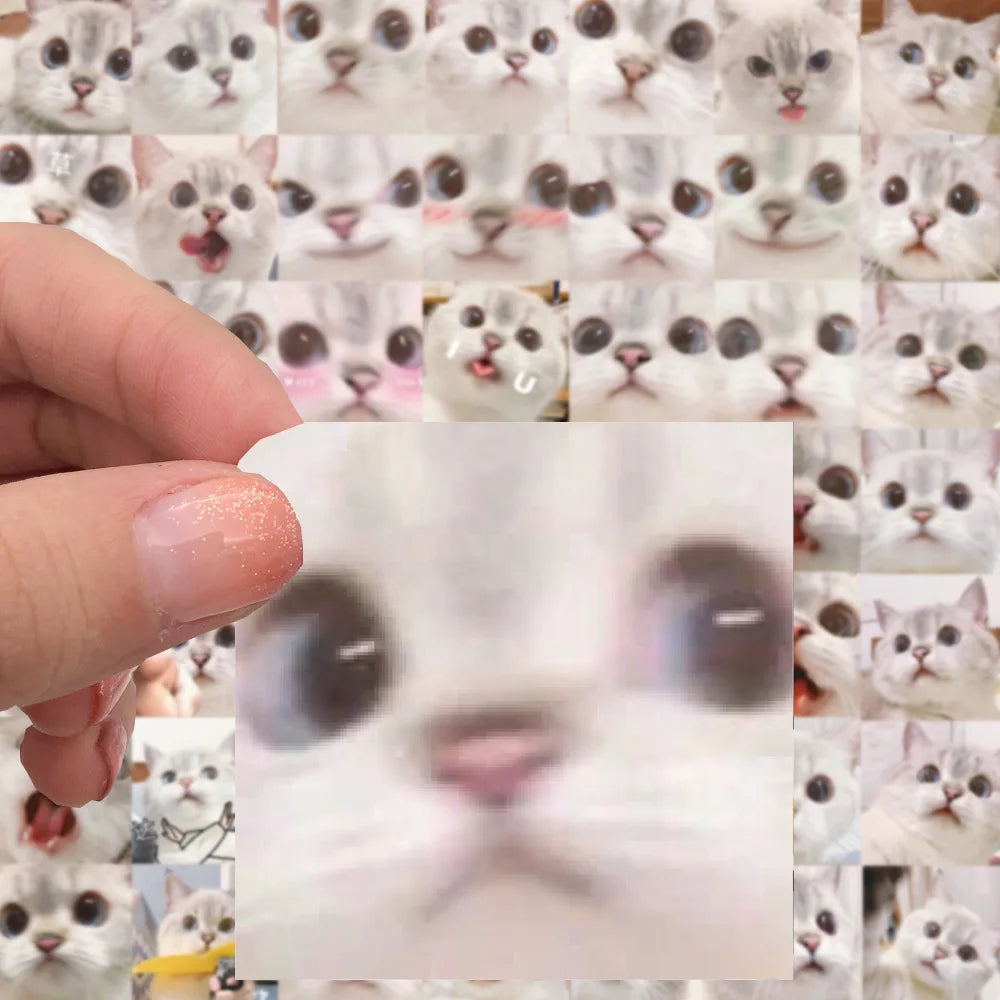 10/30/56PCS Cute Meme Cat Stickers Kawaii Animal Decals Funny Cartoon Kids Toy DIY Notebook Fridge Guitar Bike Car Suitcase Toys (ONLINE ORDER ONLY)
