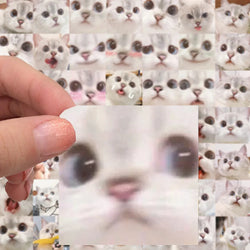 10/30/56PCS Cute Meme Cat Stickers Kawaii Animal Decals Funny Cartoon Kids Toy DIY Notebook Fridge Guitar Bike Car Suitcase Toys (ONLINE ORDER ONLY)