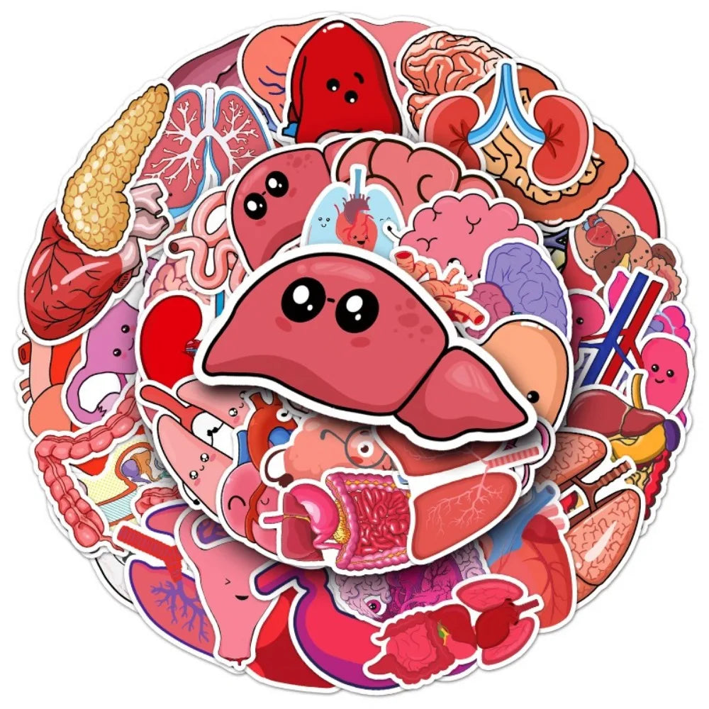10/50Pcs Cartoon Human Organs Graffiti Stickers Decoration Phone Case Suitcase Luggage Case Sticker Waterproof for Kids Toys (ONLINE ORDER ONLY)