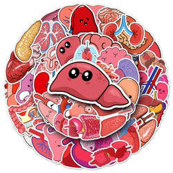 10/50Pcs Cartoon Human Organs Graffiti Stickers Decoration Phone Case Suitcase Luggage Case Sticker Waterproof for Kids Toys (ONLINE ORDER ONLY)