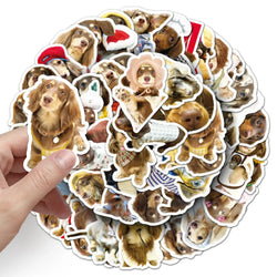 10/30/50PCS Dachshund Dog Stickers Cute Dog Decoration DIY Animal Sticker Luggage Laptop Phone Guitar Car Bike Decals Kids Toys (ONLINE ORDER ONLY)