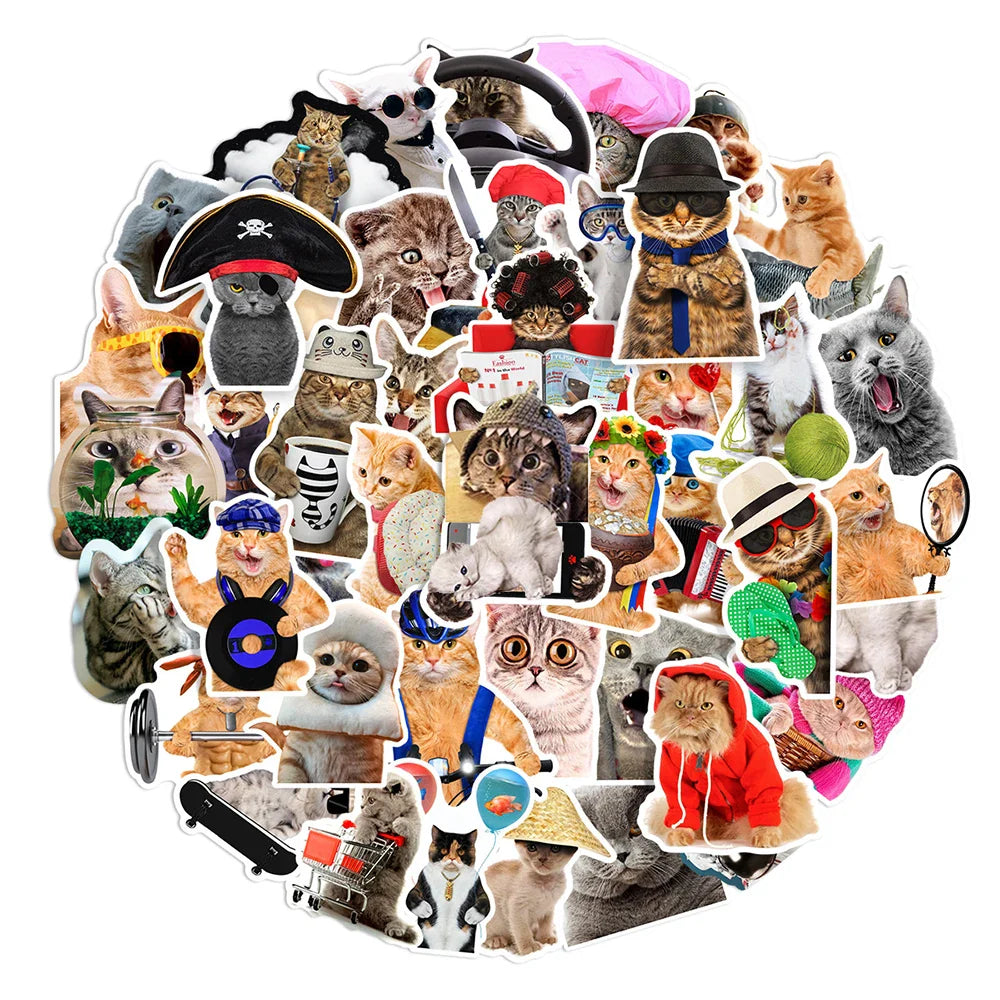 10/30/66PCS Funny Cat Stickers Cute Cartoon Decals Toys DIY Notebook Laptop Skateboard Luggage Phone Car Waterproof Kids Sticker (Online Order Only)