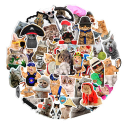 10/30/66PCS Funny Cat Stickers Cute Cartoon Decals Toys DIY Notebook Laptop Skateboard Luggage Phone Car Waterproof Kids Sticker (Online Order Only)