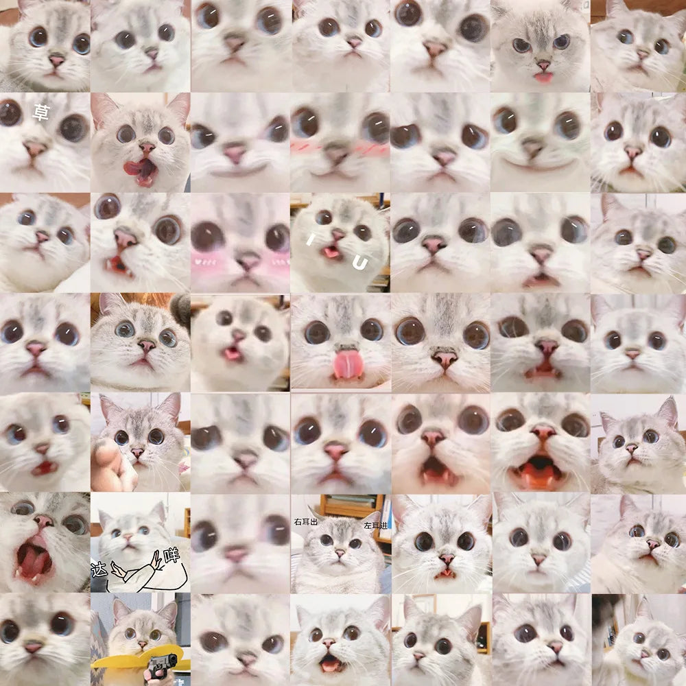 10/30/56PCS Cute Meme Cat Stickers Kawaii Animal Decals Funny Cartoon Kids Toy DIY Notebook Fridge Guitar Bike Car Suitcase Toys (ONLINE ORDER ONLY)