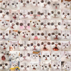 10/30/56PCS Cute Meme Cat Stickers Kawaii Animal Decals Funny Cartoon Kids Toy DIY Notebook Fridge Guitar Bike Car Suitcase Toys (ONLINE ORDER ONLY)