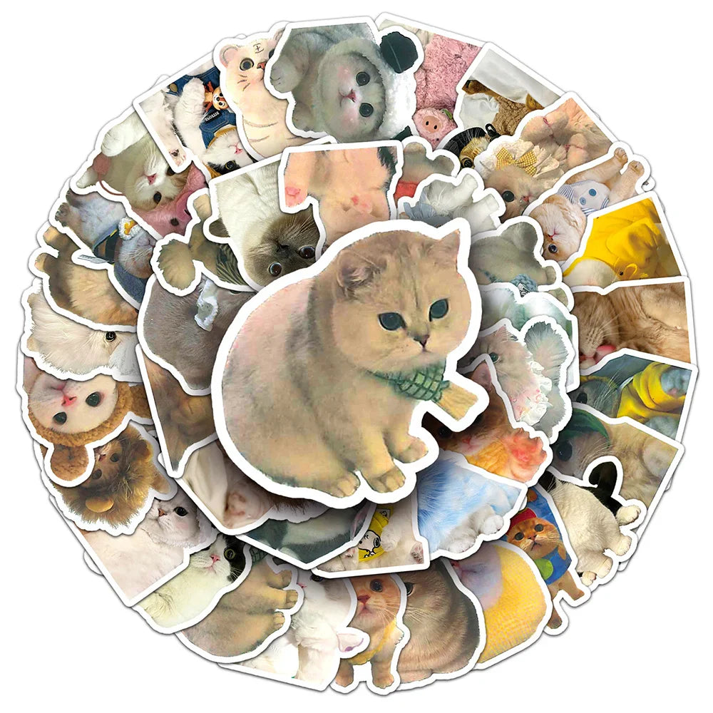 Kawaii Cat Meme Stickers Pack - Cute Aesthetic Decals for Laptop, Notebook, Diary (ONLINE ORDER ONLY)