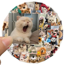10/30/53PCS Cute Cats Dog Funny Stickers Cartoon Animals Graffiti Toys DIY Notebook Luggage Skateboard Guitar Kids Sticker Decal (ONLINE ORDER ONLY)