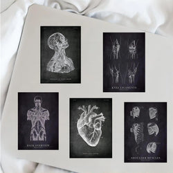 25pcs Anatomical Skeleton Chalkboard Stickers For Laptop PVC Water Bottle waterproof Decal Toy Medicine Student Gifts (Online Order Only)