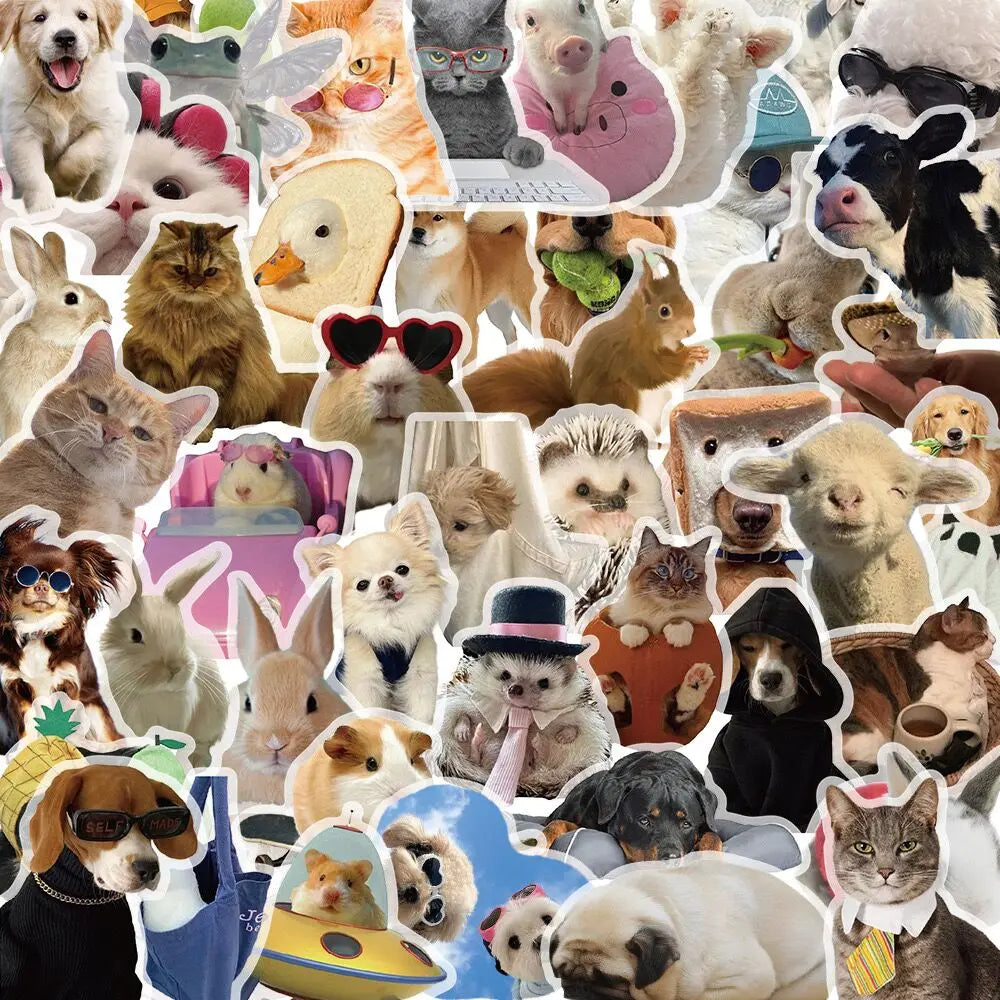 10/50pcs Cute Funny Cat Dog Meme Cartoon Stickers Kawaii Transparent PET Animal Graffiti Decals Toy DIY Fridge Phone Car Sticker (ONLINE ORDER ONLY)