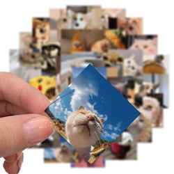 10/30/48PCS Cute Cat Dog Daily Sticker Aesthetic PVC Children's Decoration Korean Stationery Scrapbooking School Supplies (ONLINE ORDER ONLY)
