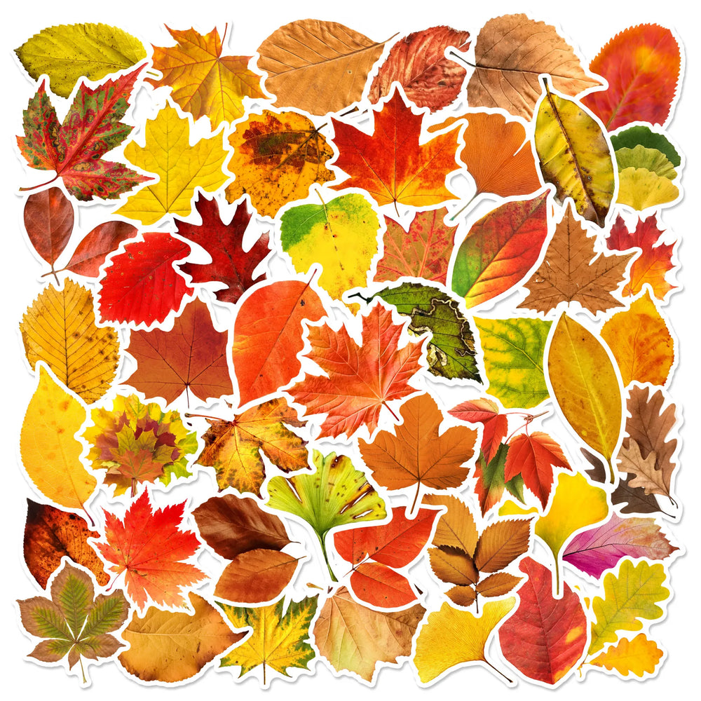 60pcs Autumn Leaves Graffiti Stickers for Helmet, Wall, DIY Decoration (Online Order Only)