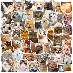 10/30/50/100pcs Cute Funny Meme Animal Cat Kitty Stickers Decals Laptop Notebook Luggage Car Decoration Sticker Kids Classic Toy (ONLINE ORDER ONLY)