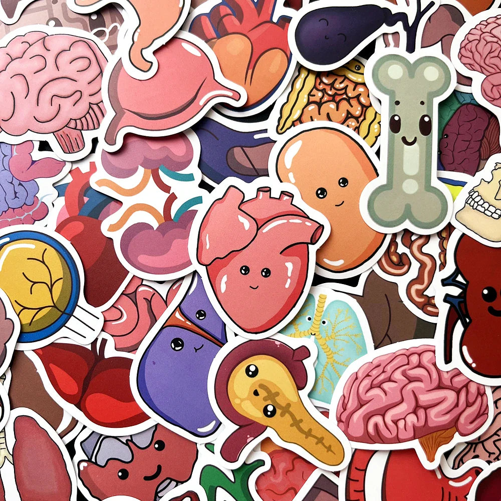 10/50PCS Cute Anatomy Stickers Waterproof for Laptop, Bicycle, Guitar, Phone, DIY (Online Order Only)